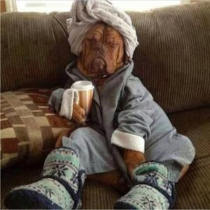 Meet your Posher, Mary ann